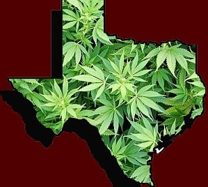 Texas House to Consider Marijuana Decriminalization Bill