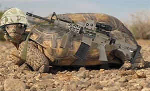 Following Bundy Ranch Raid, Congress Moves to Transfer Tortoise Habitat to US Military