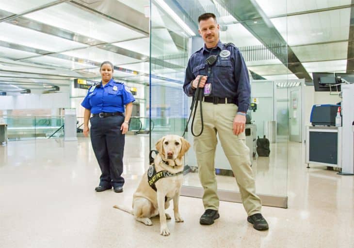 Have you gained or lost weight? Congrats, TSA is now tracking you for suspicious activity.