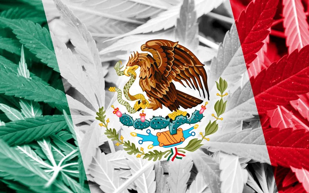 Mexico Supreme Court Rules Against Marijuana Prohibition