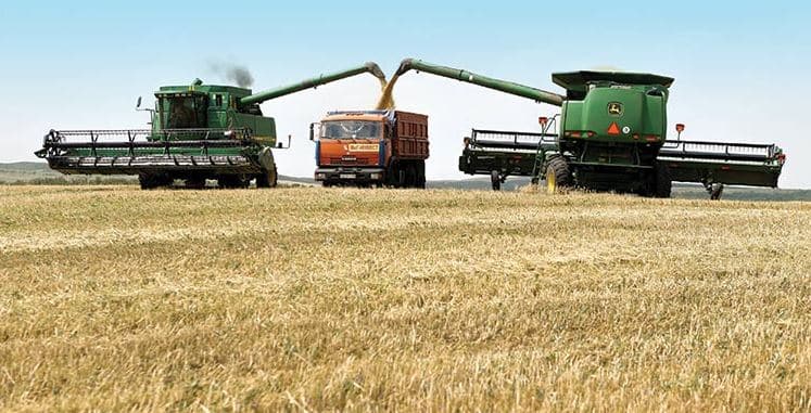 Ukraine Grain Deal is a Feel-Good Event. But Road to Peace is Long and Winding