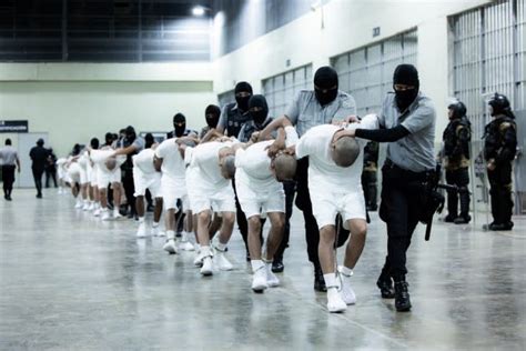 Gang Deportations Are a Fool’s Errand; Instead, End the Drug War